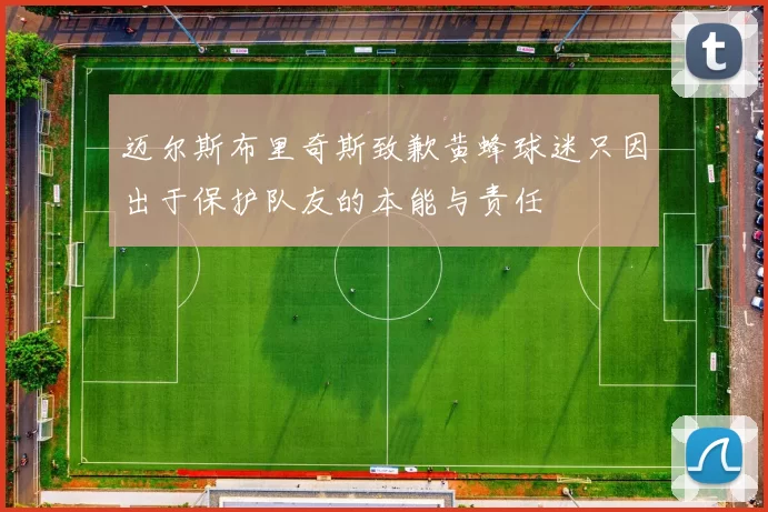 迈尔斯布里奇斯致歉黄蜂球迷只因出于保护队友的本能与责任