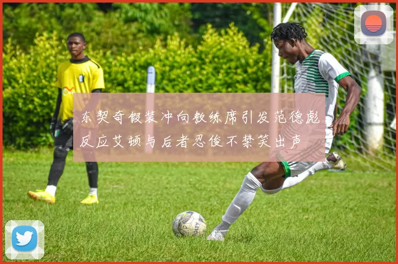 东契奇假装冲向教练席引发范德彪反应艾顿与后者忍俊不禁笑出声